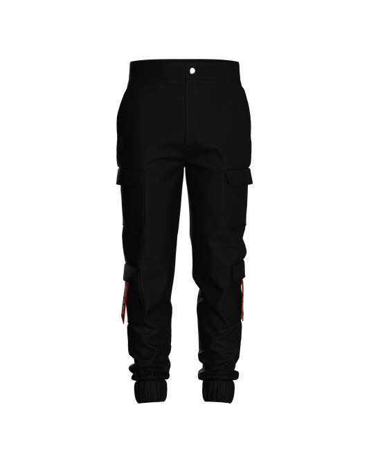 Ascent Cargo Pants